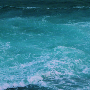 免费国产精品视频
